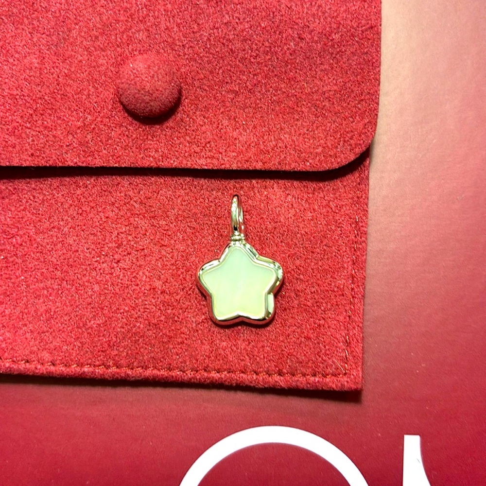BNIB 14K White Gold Star Charm - mother of pearl